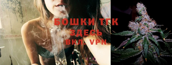 молекула духа Горняк